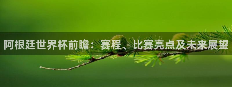 今年的世界杯：阿根廷世界杯前瞻：赛程、比赛亮点及未来展望