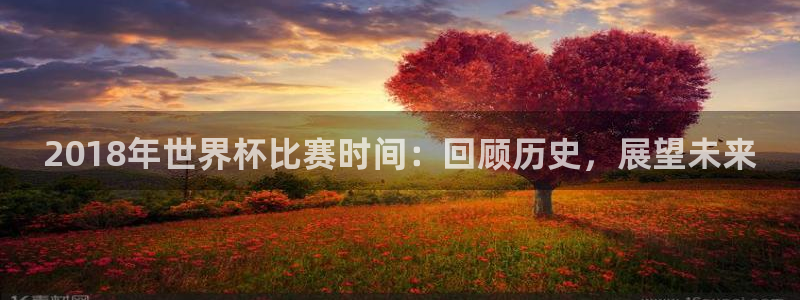 世界杯预选赛规则：2018年世界杯比赛时间：回顾历史，展望未来