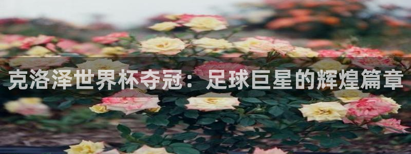 世界杯足球直播：克洛泽世界杯夺冠：足球巨星的辉煌篇章