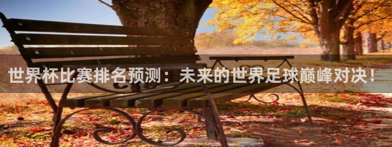 世界杯预选赛欧洲赛区积分榜：世界杯比赛排名预测：未来的世界足球巅峰对决！