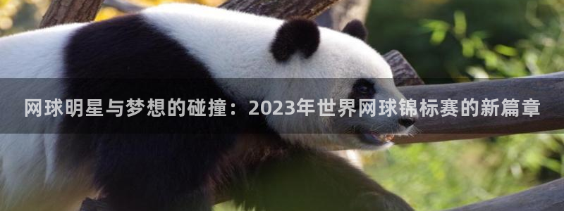 欧洲世界杯预选赛：网球明星与梦想的碰撞：2023年世界网球锦标赛的新篇章