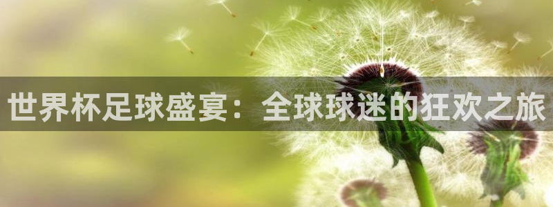 2026年世界杯赛程表时间：世界杯足球盛宴：全球球迷的狂欢之旅