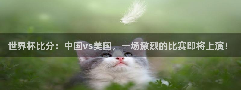 预选赛世界杯：世界杯比分：中国vs美国，一场激烈的比赛即将上演！