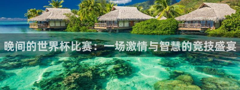 世界杯葡萄牙赛程：晚间的世界杯比赛：一场激情与智慧的竞技盛宴