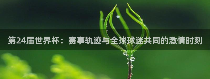 2026世界杯欧洲预选赛赛程表：第24届世界杯：赛事轨迹与全球球迷共同的激情时刻