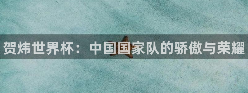 男足世界杯预选赛赛程：贺炜世界杯：中国国家队的骄傲与荣耀