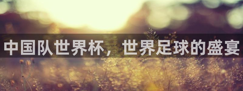 2026世界杯官网入口：中国队世界杯，世界足球的盛宴