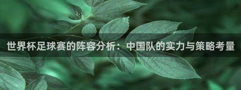26世界杯：世界杯足球赛的阵容分析：中国队的实力与策略考量